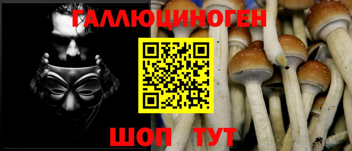 Галлюциногенные грибы Cubensis Асино