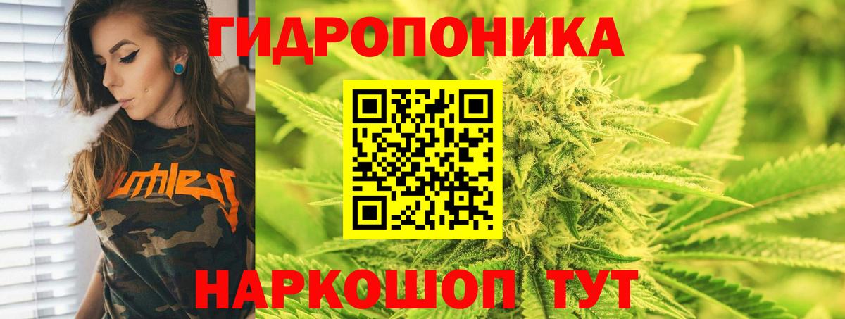 Каннабис ГИДРОПОН  Вход с VPN  Асино  Бошки Шишки конопля 